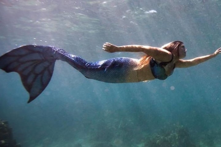 Mermaid Certification